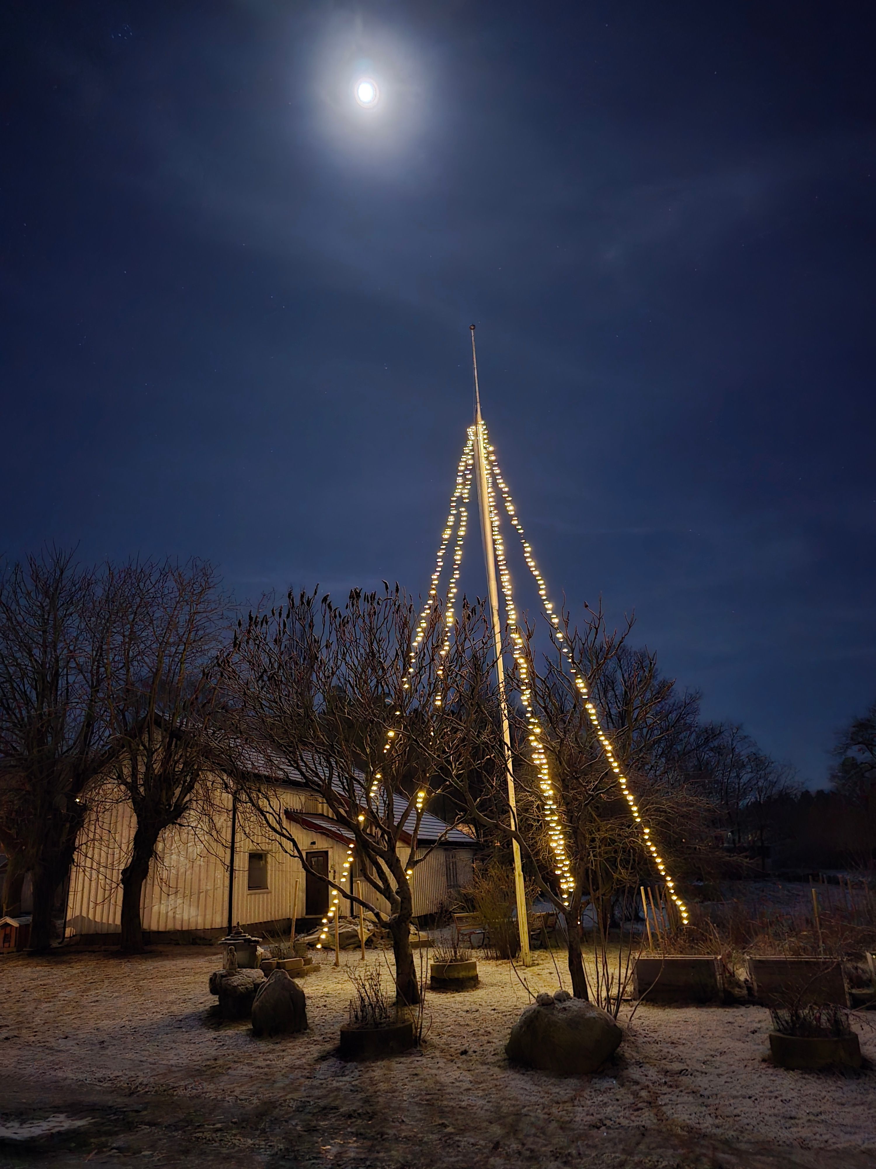Bilde fra kattehotellet